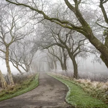 Das Foto strahlt Ruhe und Natürlichkeit aus – ein Sinnbild dafür, wie sich Natur in harmonischer Form entfalten kann - (c) Uwe Froebel