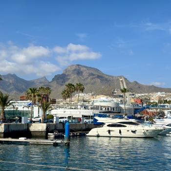 Teneriffa – Bizarre Vulkanlandschaften, Weltkulturerbe und Whale Watching, das ganze Jahr ein wunderbares Naturerlebnis - (c) Anke Sieker