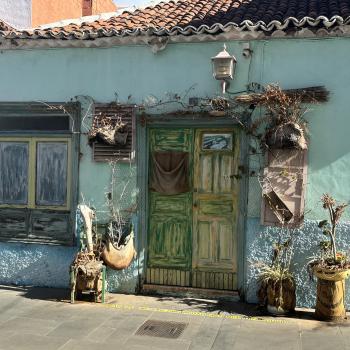 Teneriffa – Bizarre Vulkanlandschaften, Weltkulturerbe und Whale Watching, das ganze Jahr ein wunderbares Naturerlebnis - (c) Anke Sieker