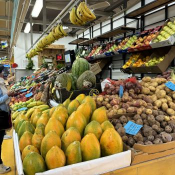 Teneriffa – Bizarre Vulkanlandschaften, Weltkulturerbe und Whale Watching, das ganze Jahr ein wunderbares Naturerlebnis - (c) Anke Sieker