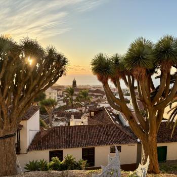 Teneriffa – Bizarre Vulkanlandschaften, Weltkulturerbe und Whale Watching, das ganze Jahr ein wunderbares Naturerlebnis - (c) Anke Sieker