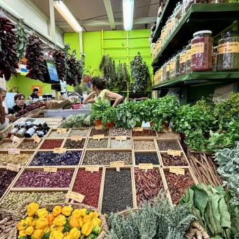 Teneriffa – Bizarre Vulkanlandschaften, Weltkulturerbe und Whale Watching, das ganze Jahr ein wunderbares Naturerlebnis - (c) Anke Sieker