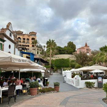 Teneriffa – Bizarre Vulkanlandschaften, Weltkulturerbe und Whale Watching, das ganze Jahr ein wunderbares Naturerlebnis - (c) Anke Sieker