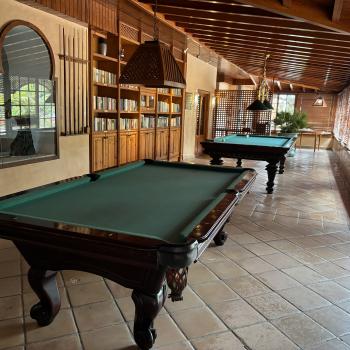 Teneriffa – Bizarre Vulkanlandschaften, Weltkulturerbe und Whale Watching, das ganze Jahr ein wunderbares Naturerlebnis - (c) Anke Sieker