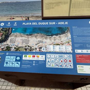 Teneriffa – Bizarre Vulkanlandschaften, Weltkulturerbe und Whale Watching, das ganze Jahr ein wunderbares Naturerlebnis - (c) Anke Sieker