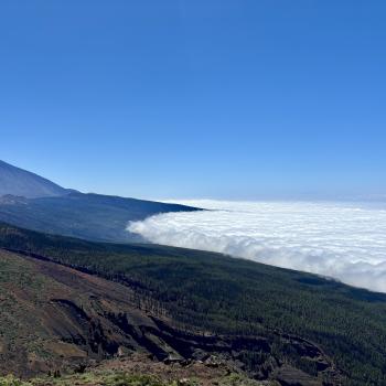 Teneriffa – Bizarre Vulkanlandschaften, Weltkulturerbe und Whale Watching, das ganze Jahr ein wunderbares Naturerlebnis - (c) Anke Sieker