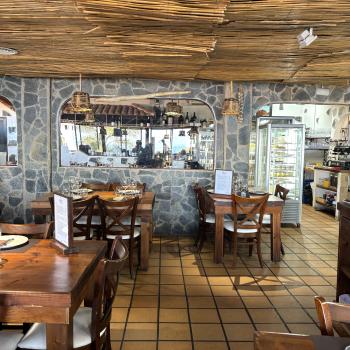 Teneriffa – Bizarre Vulkanlandschaften, Weltkulturerbe und Whale Watching, das ganze Jahr ein wunderbares Naturerlebnis - (c) Anke Sieker