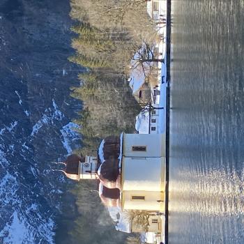 Schifffahrt auf dem Königsee – ein anderes Wintererlebnis - (c) Gabi Dräger