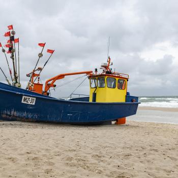 Ob zu Fuß, auf dem Fahrrad oder im Kanu, die Natur auf Wollin lockt den Aktivurlauber mit wunderbaren Natur - (c) Gabriele Beautemps