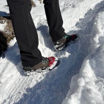 ...in Auf- und Abstieg - (c) Christine Kroll