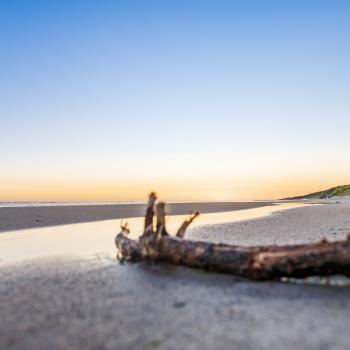 Ob zu Fuß, auf dem Fahrrad oder im Kanu, die Natur auf Wollin lockt den Aktivurlauber mit wunderbaren Natur - (c) Gabriele Beautemps