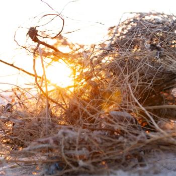 Ob zu Fuß, auf dem Fahrrad oder im Kanu, die Natur auf Wollin lockt den Aktivurlauber mit wunderbaren Natur - (c) Gabriele Beautemps