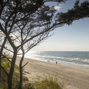 Ob zu Fuß, auf dem Fahrrad oder im Kanu, die Natur auf Wollin lockt den Aktivurlauber mit wunderbaren Natur - (c) Gabriele Beautemps