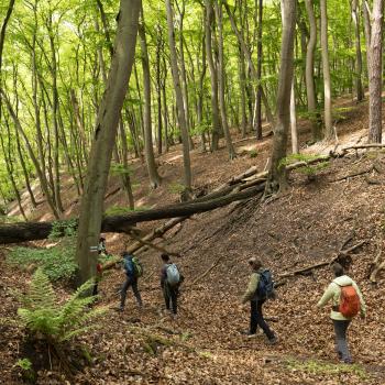 Ob zu Fuß, auf dem Fahrrad oder im Kanu, die Natur auf Wollin lockt den Aktivurlauber mit wunderbaren Natur - (c) Gabriele Beautemps