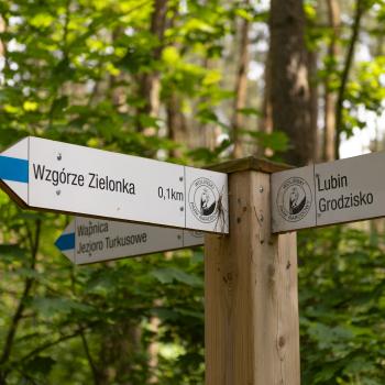 Ob zu Fuß, auf dem Fahrrad oder im Kanu, die Natur auf Wollin lockt den Aktivurlauber mit wunderbaren Natur - (c) Gabriele Beautemps