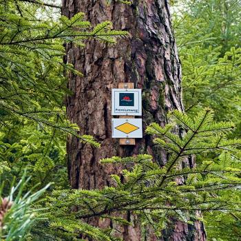 Nordschwarzwald: Tour zu den Teufelskammern - (c) Armin Herb