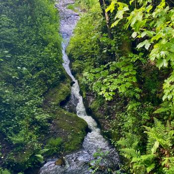 Nordschwarzwald: Tour zu den Teufelskammern - (c) Armin Herb
