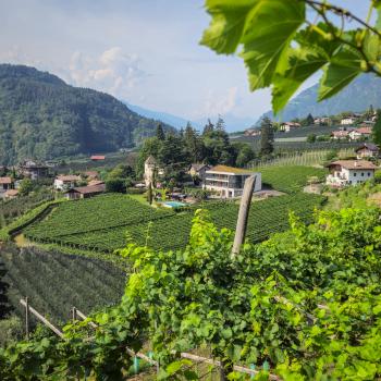 Auf dem Weitwanderweg von Garmisch nach Meran lösen Weinberge in Südtirol das Hochgebirge der ersten Etappen ab