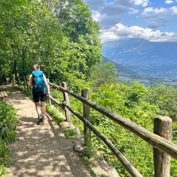 Bei einer Wanderreise zu sich finden kann man wunderbar auf dem Südtiroler Wein- & Almenweg