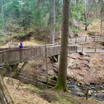  Ritten: Auf der Freud-Promenade zur Sommerfrisch, Genusswandern rund um Oberbozen und Klobenstein - (c) Armin Herb