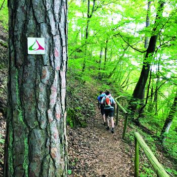 Wanderregion mit Qualität – die Vulkanregion Vogelsberg mit vielen Qualitätswanderwegen in einer einzigartigen Natur - (c) Regina Sternstein