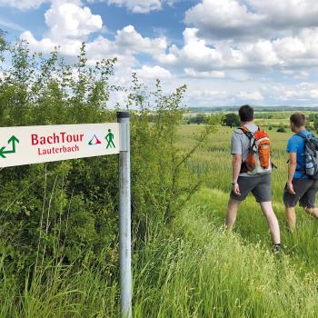 Wanderregion mit Qualität – die Vulkanregion Vogelsberg mit vielen Qualitätswanderwegen in einer einzigartigen Natur - (c) Regina Sternstein