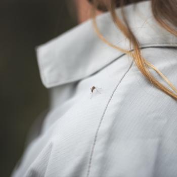 Mücken-Abwehr ohne Chemie - Royal Robbins das Outdoor-Erlebnis für uns alle angenehmer macht - (c) Royal Robbins  