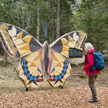  Ritten: Auf der Freud-Promenade zur Sommerfrisch, Genusswandern rund um Oberbozen und Klobenstein - (c) Armin Herb