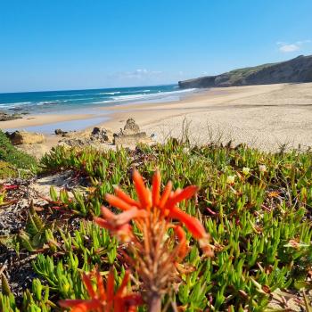 Eine Reise entlang Portugals südlichster Küste, wo Fels und Sand, Fischerdörfer und Design-Retreats, Naturidylle und kulinarische Leidenschaft ein harmonisches Ganzes formen - (c) Detlef Düring