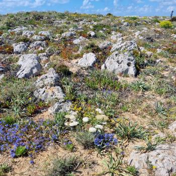 Eine Reise entlang Portugals südlichster Küste, wo Fels und Sand, Fischerdörfer und Design-Retreats, Naturidylle und kulinarische Leidenschaft ein harmonisches Ganzes formen - (c) Detlef Düring