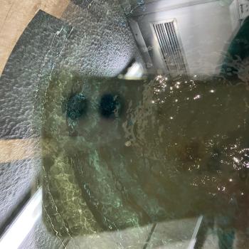 Da Kuah auf da Spur - Das Tourenprojekt der Molkerei Berchtesgadener Land rückt mit zwei neuen Routen das Mangfalltal sowie das Wasserschloss Reisach in den Mittelpunk - (c) Molkerei BGL