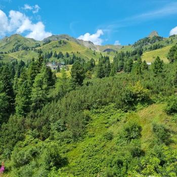 Als Hotspot des Wintersports ist Obertauern im Salzburger Land ein Begriff, als attraktive Sommerurlaubs-Region dagegen noch ein Geheimtipp - (c) Detlef Düring