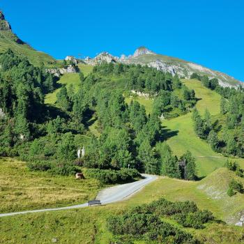 Als Hotspot des Wintersports ist Obertauern im Salzburger Land ein Begriff, als attraktive Sommerurlaubs-Region dagegen noch ein Geheimtipp - (c) Detlef Düring