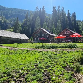 Als Hotspot des Wintersports ist Obertauern im Salzburger Land ein Begriff, als attraktive Sommerurlaubs-Region dagegen noch ein Geheimtipp - (c) Detlef Düring
