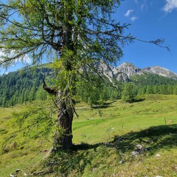 Als Hotspot des Wintersports ist Obertauern im Salzburger Land ein Begriff, als attraktive Sommerurlaubs-Region dagegen noch ein Geheimtipp - (c) Detlef Düring