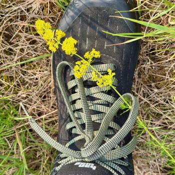  „Neue Schuhe braucht das Land“ - Der Kaduro Mid GTX von Hanwag - (c) Armin Herb