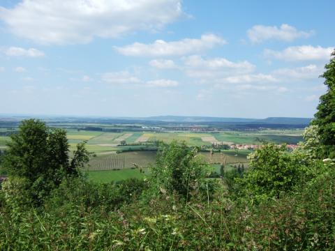 Steigerwald-Panoramaweg - Ausblick zum Stollberg - (c) Tourismusverband Steigerwald