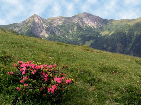 Wandervielfalt in Österreichs Wanderdörfern - Millstätter See, Goldeck Bergbahnen - (c) Latschur Foto