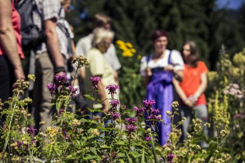 Kleinwalsertal Entschleunigen Genuss Region Kräuter