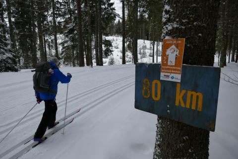 Expedition auf dünnen Brettern - Fernskiwanderweg Schwarzwald - (c) Klaus Pfenning