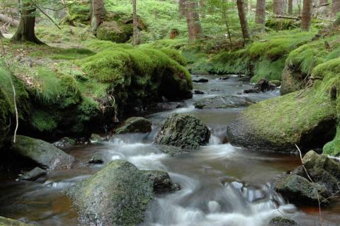 Fichtelgebirge Flusslandschaft Weisser Main