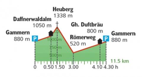 Wanderung auf den Heuberg im Chiemgau - Höhenprofil