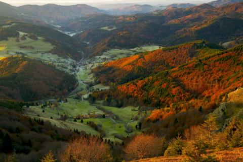 Die schönsten Touren durch den bunten Herbst - Deutschland entdecken auf den Top Trails of Germany - (c) Top Trails of Germany