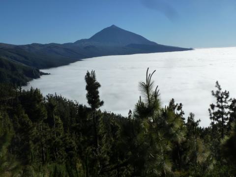 Der Norden Teneriffas – Vulkane, Regenwald und Meer - (c) Gabi Dräger Der Norden Teneriffas – Vulkane, Regenwald und Meer - (c) Gabi Dräger