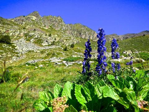 Das Fürstentum Andorra ruft zu einem unvergesslichen Wanderurlaub - (c) RIW-Touristik