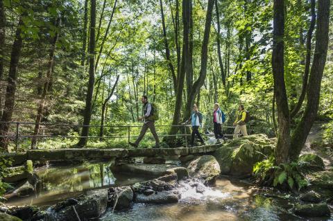 Die schönsten Schattenwanderungen für den heißen Sommer - der Lerautal mit Schafsteg bei Leuchtenberg - (c) Top-Trails of Germany