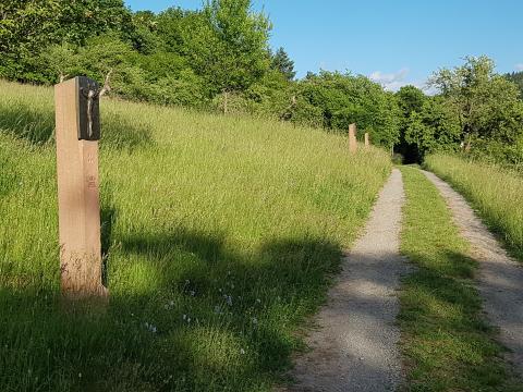 … Geschichten auf dem neuen „BUNTSANDSTEIN-ERLEBNISWEG“ in Churfranken - (c) Churfranken e.V. / Peter Mayer 