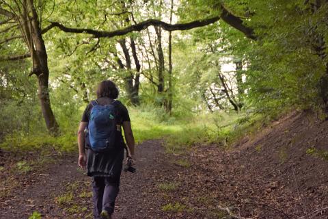 Schächerbachtour - In kurzer Zeit viel Erleben garantiert diese kleine Runde durch das sagenhafte Schächerbachtal - (c) Gabi Vögele