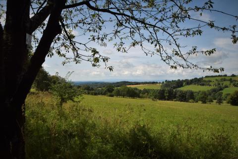 Amanaburch Tour - Eine Berg- und Talwanderung rund um die Basaltkuppe, auf der die Stadt Amöneburg thront - (c) Gabi Vögele