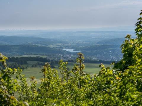 Höhenrundweg - Dieser Wanderweg führt zu den Highlights rund um den Hoherodskopf - (c) Christinia Marx, www.vogelsberg-fotos.de